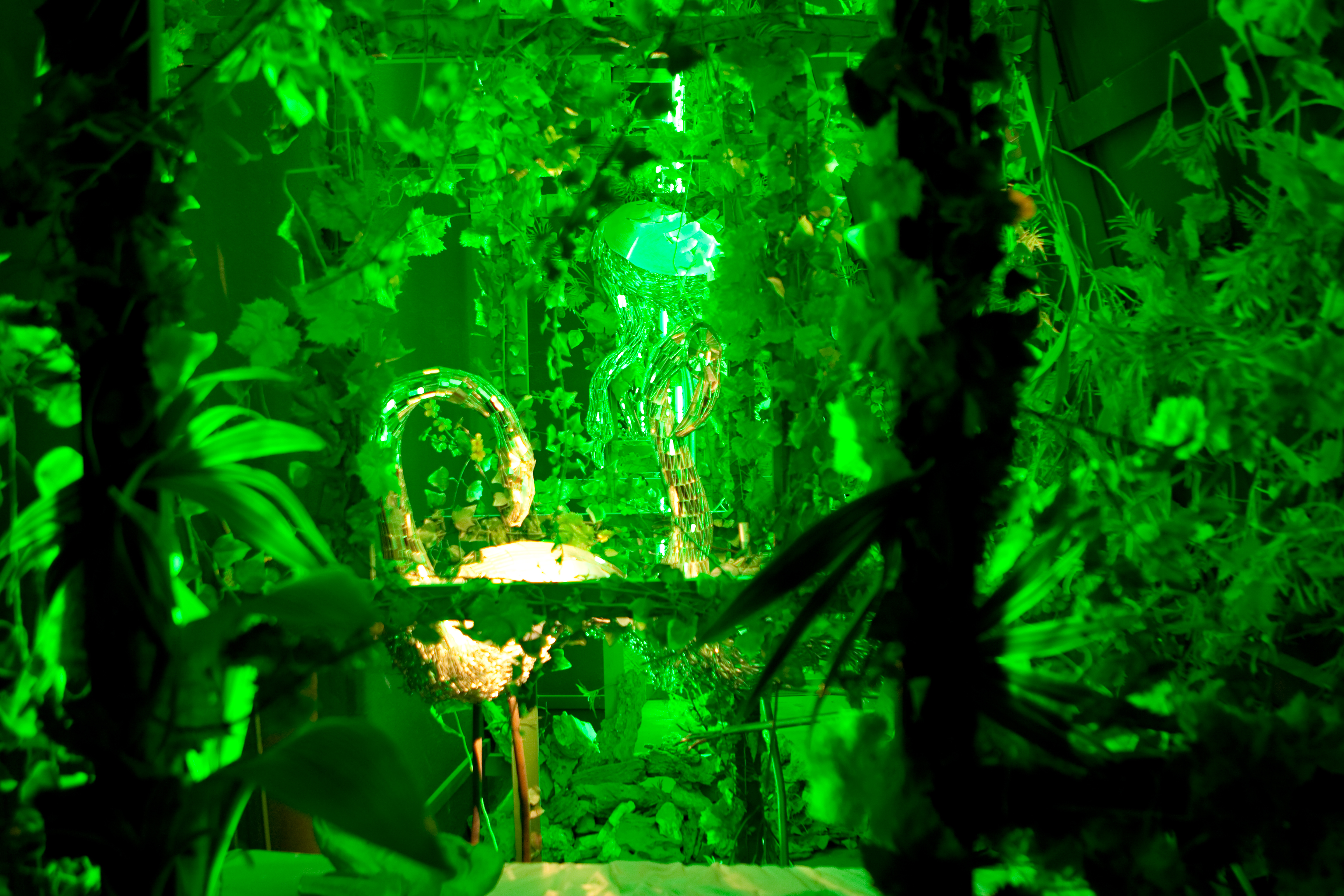 vakantie 2009 spanje-028.jpg